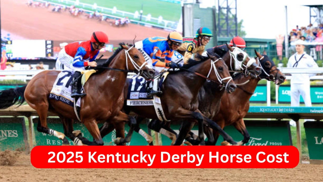 How Much Each 2025 Kentucky Derby Horse Cost Full Breakdown